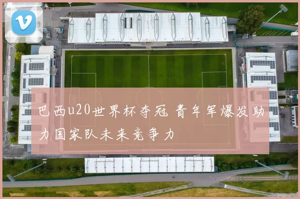 巴西u20世界杯夺冠 青年军爆发助力国家队未来竞争力