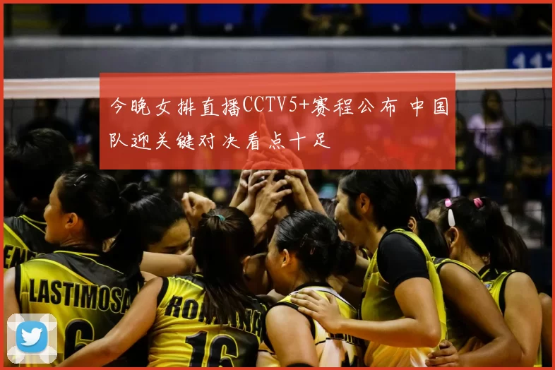 今晚女排直播CCTV5+赛程公布 中国队迎关键对决看点十足
