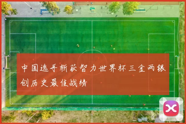 中国选手斩获智力世界杯三金两银创历史最佳战绩