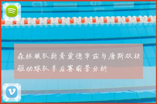 森林狼队新秀爱德华兹与唐斯双核驱动球队季后赛前景分析