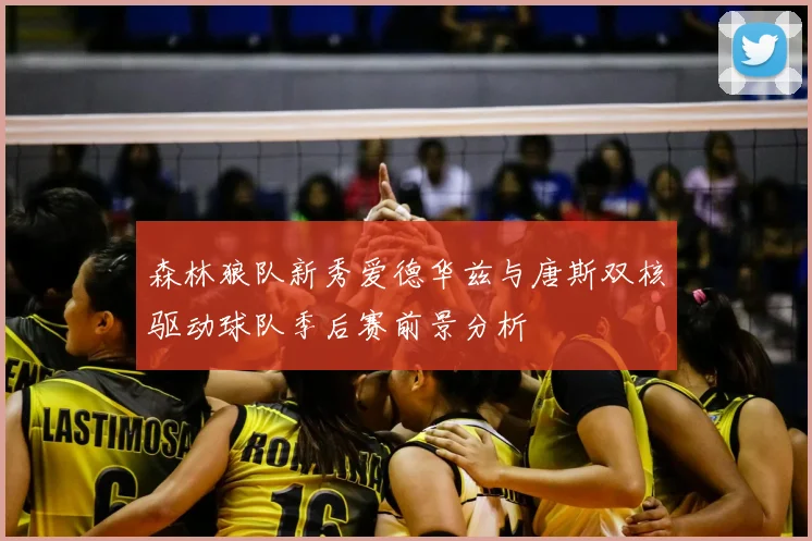 森林狼队新秀爱德华兹与唐斯双核驱动球队季后赛前景分析
