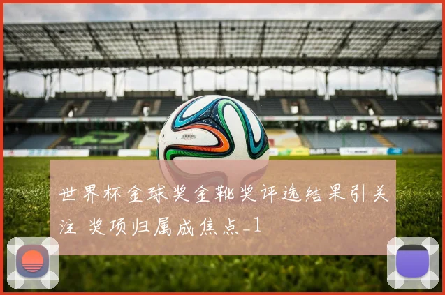 世界杯金球奖金靴奖评选结果引关注 奖项归属成焦点_1